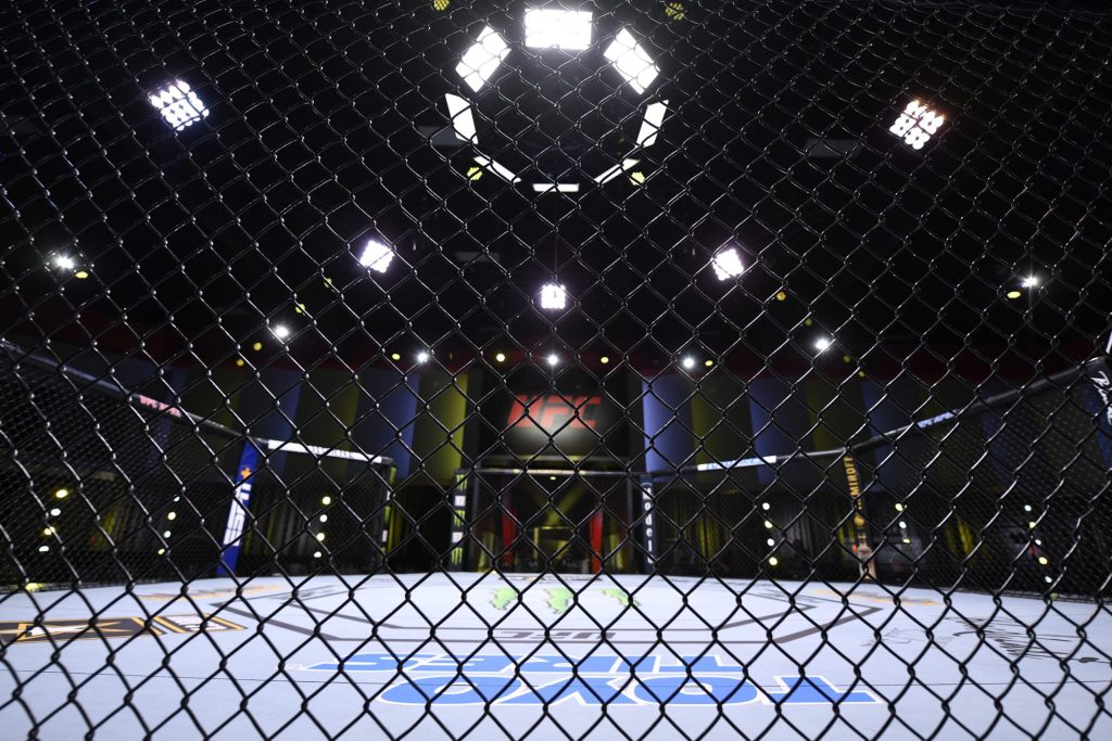 ufc cage fence